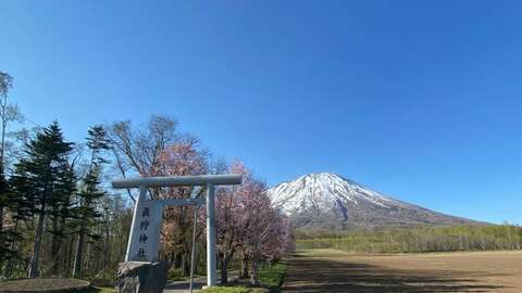 Makkari Sakura Land4
