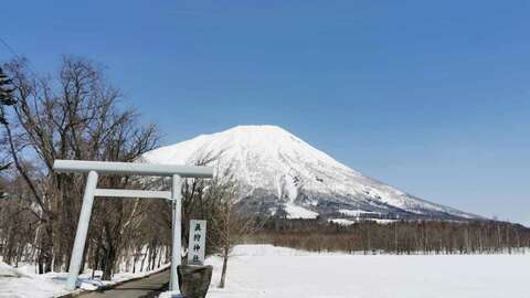 Makkari Sakura Land3