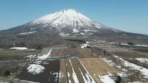 Makkari Sakura Land1