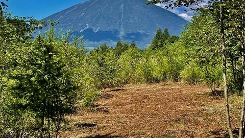 Niseko Realty Rusutsu Holiday Estate Land 2
