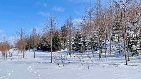 Niseko Realty Rusutsu Holiday Estate Land 3