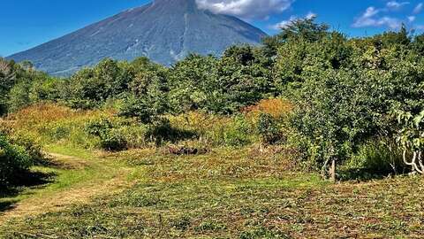 Niseko Realty Rusutsu Holiday Estate Land 2