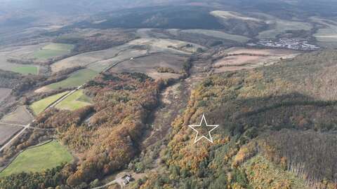 DJI 0116