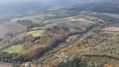 DJI 0117