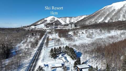 DJI 0454
