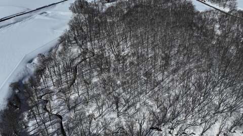 Niseko Realty Large Yotei View 5