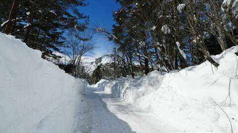 Hakuba Real Estate Misorano Echomori Land 3