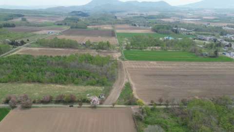 Makkari Cherry Blosso View Land5