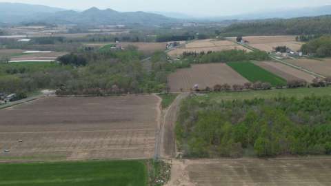 Makkari Cherry Blosso View Land4
