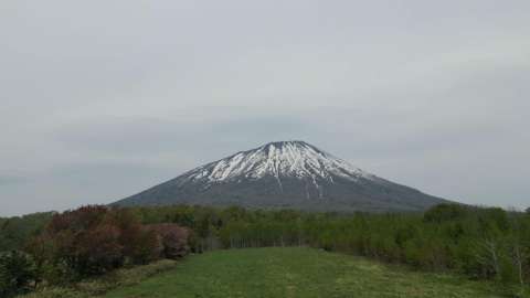 Makkari Cherry Blosso View Land3