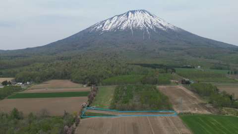 Makkari Cherry Blosso View Land2