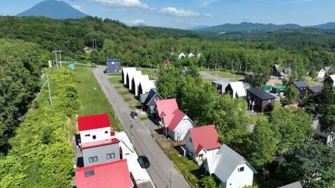 DJI 0028