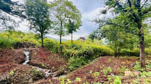 Ho H creek Sept 2025