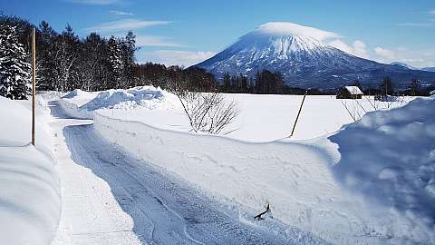 1 Winter Soga Meadows II