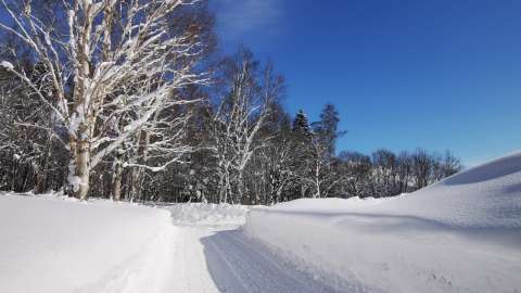 2 Winter Soga Meadows II