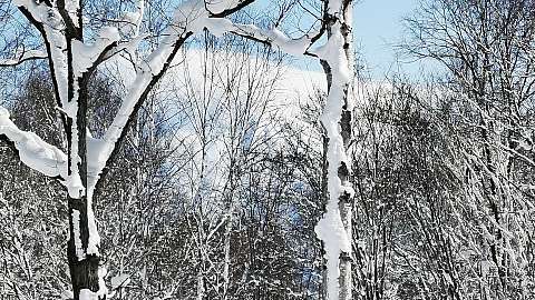 5 Winter Soga Meadows II