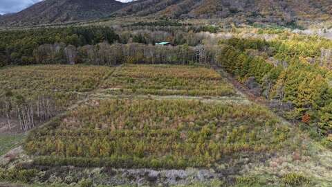 Niseko Realty Rusutsu Dev Land 3