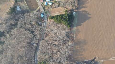 Niseko Realty Super Spacious Soga 5