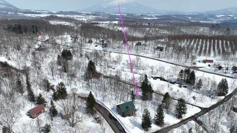 DJI 0230