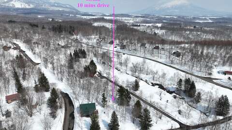 DJI 0231
