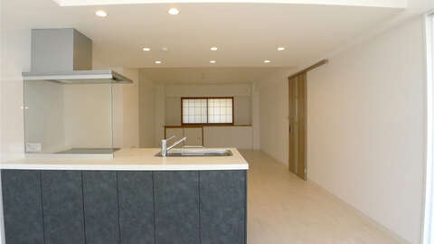3 BR Corner Apartment with Large 11