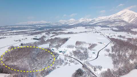 4 Soga Acreage Winter