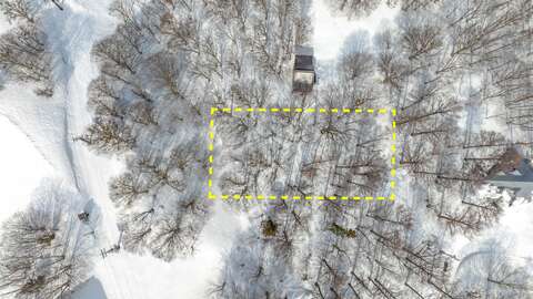 4 Winter Nozawa Ski in out