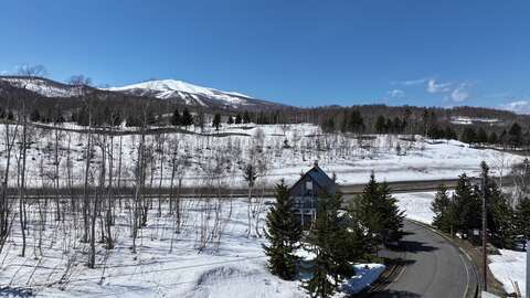 Niseko Realty Hanazono NH Double Lot 2