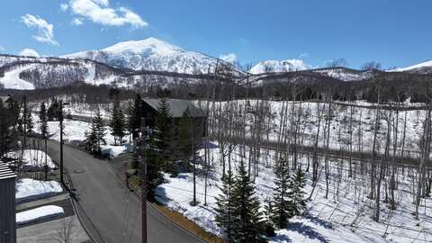 Niseko Realty Hanazono NH Double Lot 1