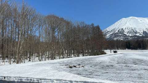 Hirafu 367 29 31