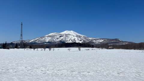 Hirafu 367 29 36