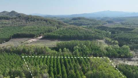 DJI 0377