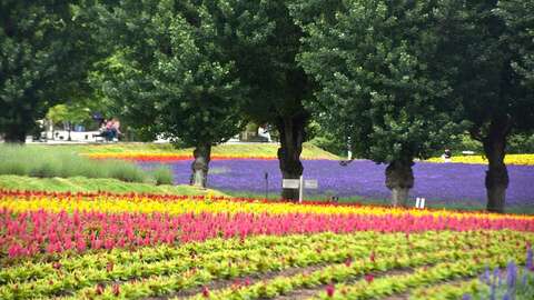 Furano By NISADE View 3