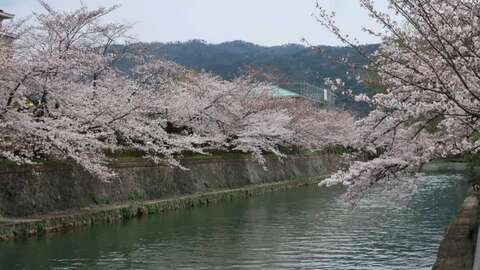 Shogoin Heritage1