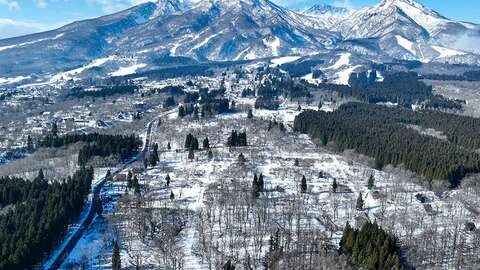 HAKUBA REAL ESTATE 900 Tsubo Land in Myoko 11