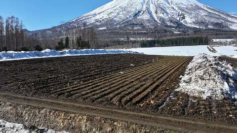 Niseko Realty Woodland Rise Makkari Land 07