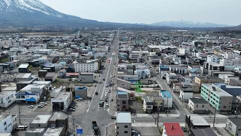 Niseko Realty Kutchan Commercial Land copy