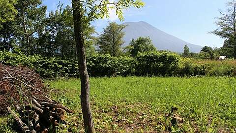 Kondo Land3
