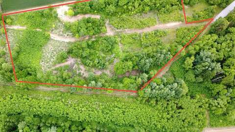 Dji fly 20250615 072504 23 1749941110968 photo optimized