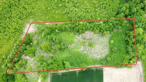 Dji fly 20250615 072542 24 1749941112639 photo optimized