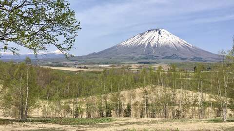Image4