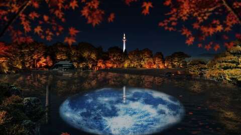 Naked garden nights2026 7 1024x724
