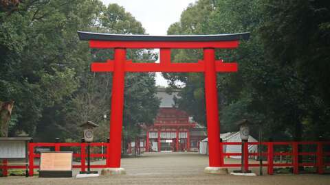Shrine Image