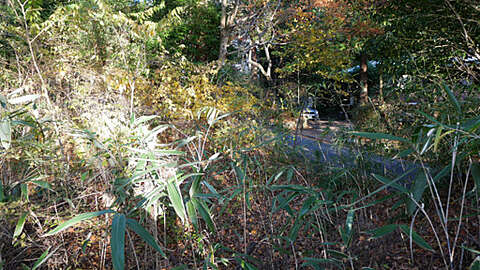 485 sqm Hakone Land in Tokyu Myojindaira1