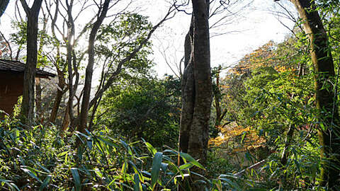 485 sqm Hakone Land in Tokyu Myojindaira2