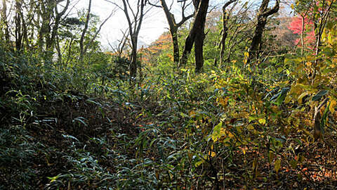 485 sqm Hakone Land in Tokyu Myojindaira3