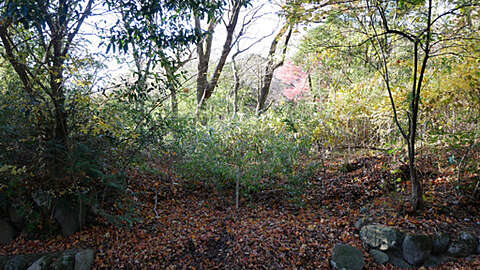 485 sqm Hakone Land in Tokyu Myojindaira4