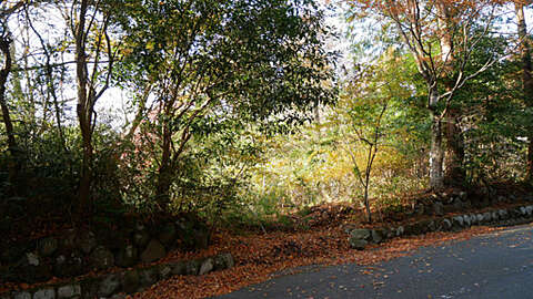 485 sqm Hakone Land in Tokyu Myojindaira5