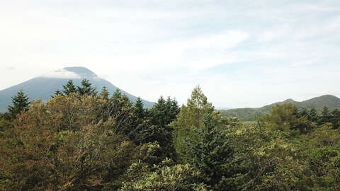 Rusutsu Toyaoka2