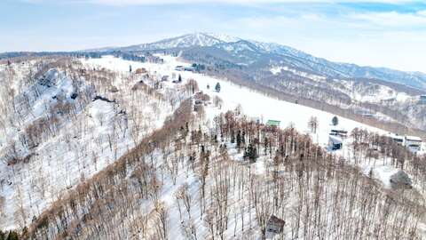 6 Nozawa Slopeside land